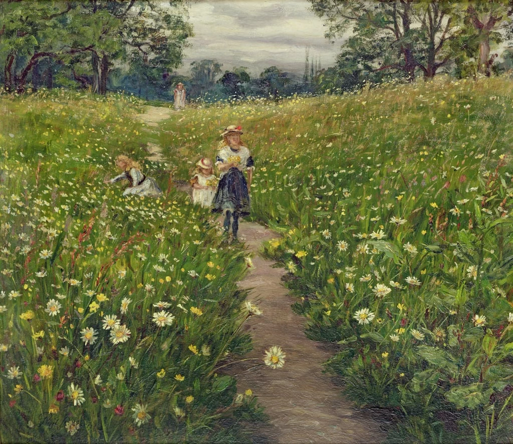 Raccolta di fiori selvatici